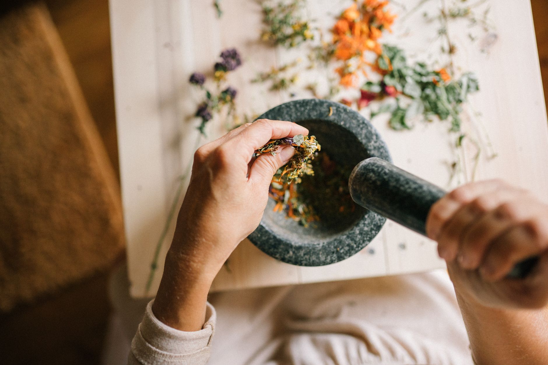 Naturopathe équipe à Saint-Malo